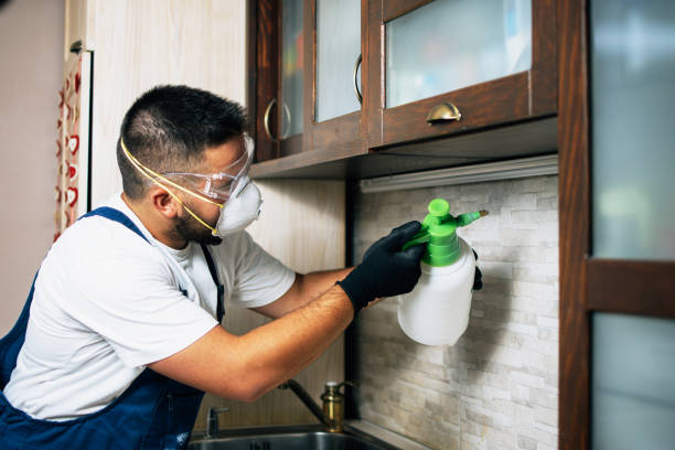 Best Affordable Pest Control Services  in Beulah, ND