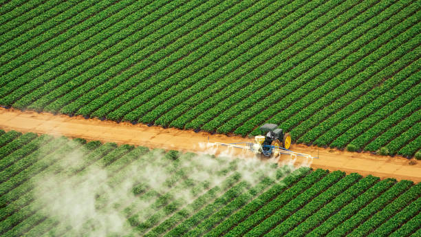 Pest Prevention Services in Beulah, ND