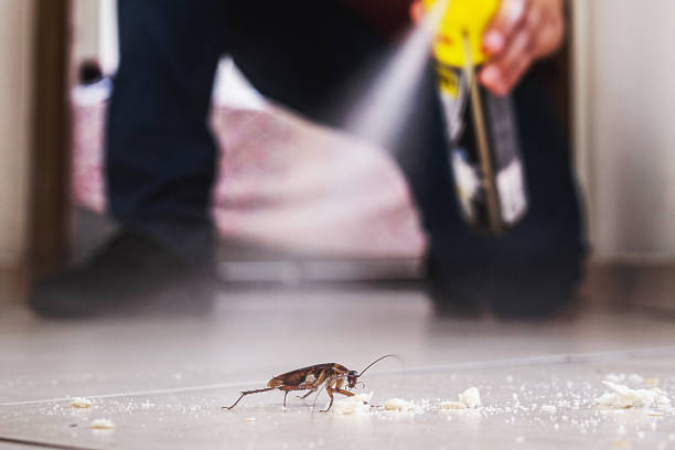  Beulah, ND Pest Control Pros