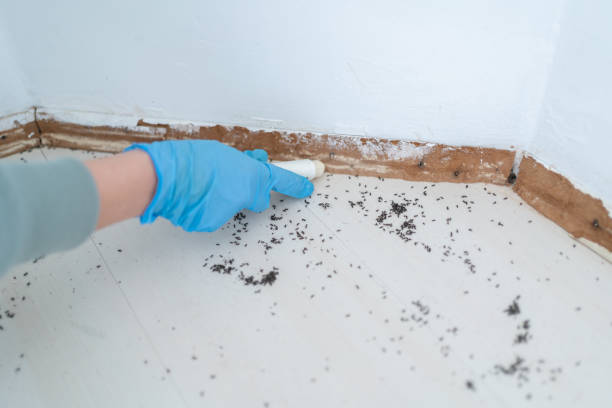 Best Exterminator Services  in Beulah, ND